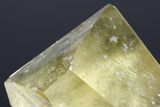 Large Yellow Calcite Crystal - Maharashtra, India #183967-4